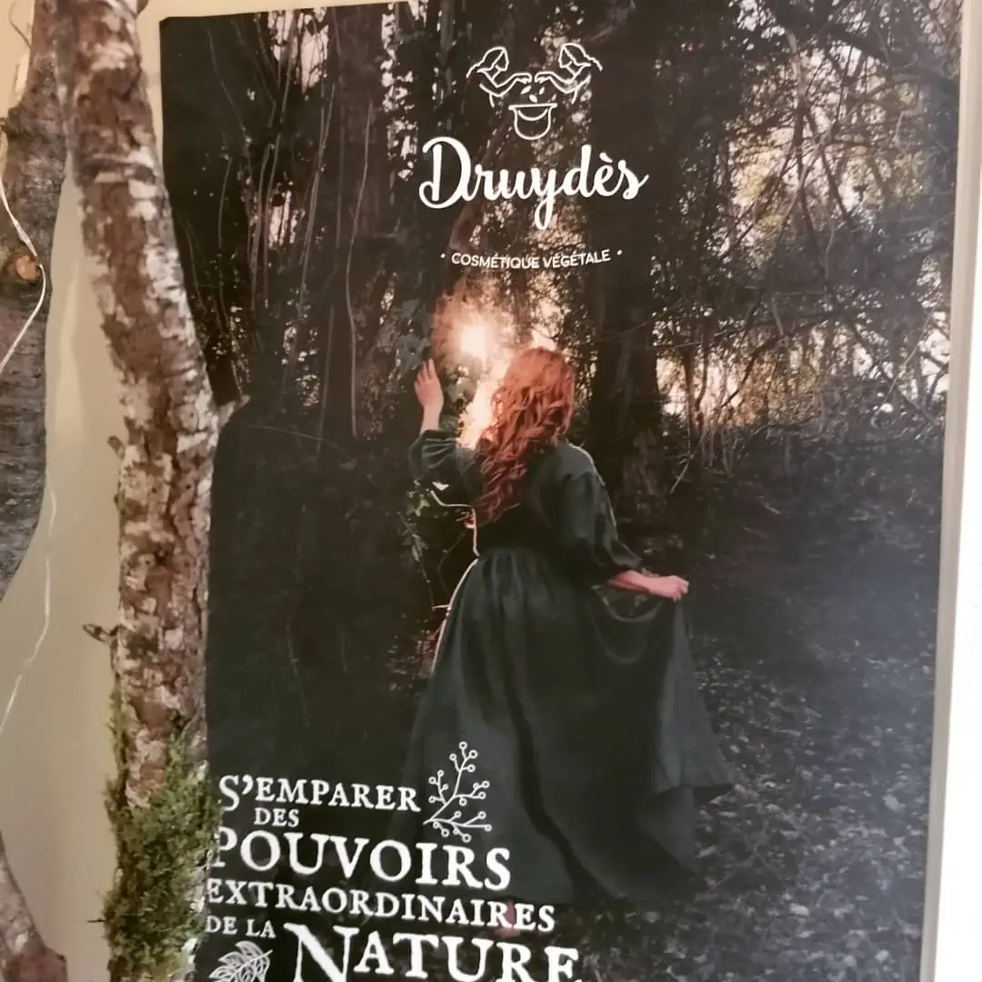 Druydes
